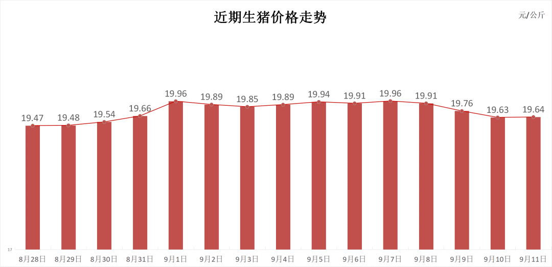 每日猪讯9.11