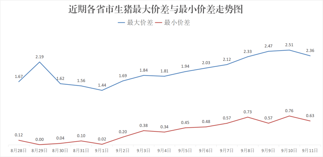 每日猪讯9.11